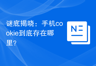 謎底揭曉：手機cookie到底存在哪裡？