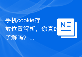 Analyse de la localisation de stockage des cookies des téléphones mobiles, la comprenez-vous vraiment ?