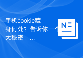 手機cookie藏身何處？告訴你一個大秘密！