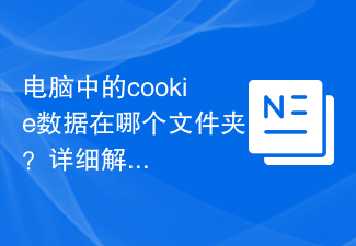 あなたのコンピュータ上の Cookie データはどのフォルダにありますか?詳細な解釈