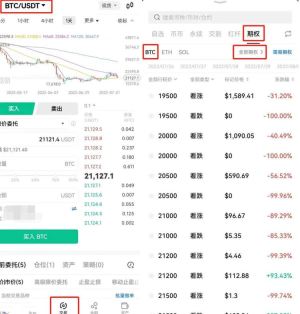 期权交易和合约交易：了解它们的不同之处