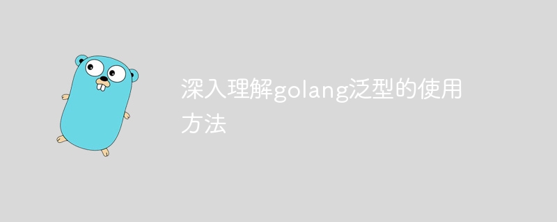 深入理解golang泛型的使用方法
