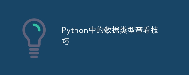 python中的数据类型查看技巧