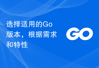 ニーズと機能に基づいて、該当する Go バージョンを選択してください