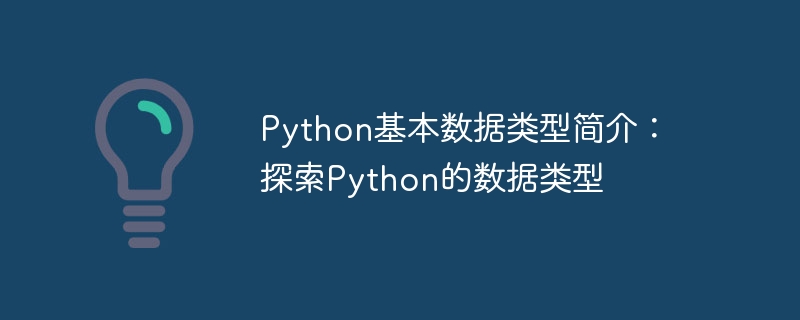 python基本数据类型简介：探索python的数据类型