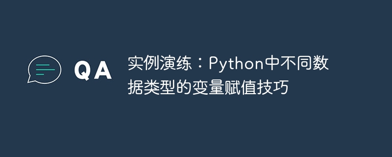 实例演练：python中不同数据类型的变量赋值技巧