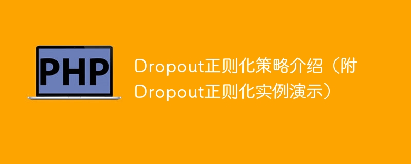 解释和示范Dropout正则化策略