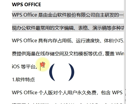 WPS文字怎么输入跨行括号符号 WPS文字自选形状