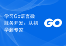 学习Go语言微服务开发：从初学到专家
