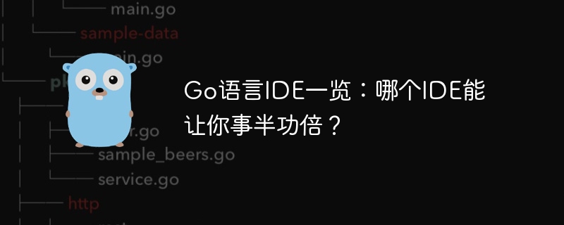 가장 효율적인 Go 언어 IDE 살펴보기: 절반의 노력으로 두 배의 결과를 얻을 수 있는 IDE는 무엇입니까?