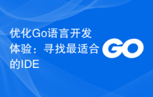 优化Go语言开发体验：寻找最适合的IDE