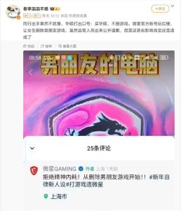 微星停止男友游戏运营团队工作，道歉并否决内耗删除决定