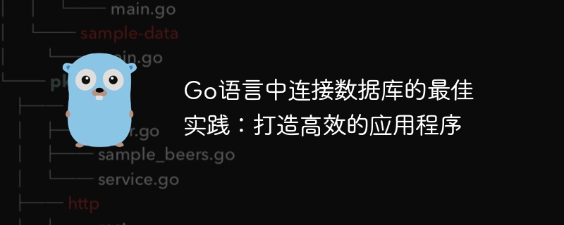 Go语言中连接数据库的最佳实践：打造高效的应用程序