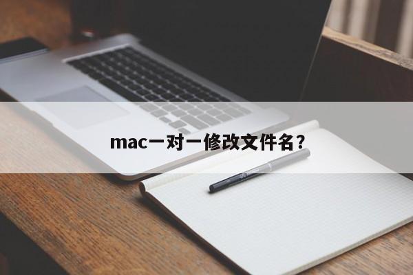 mac一对一修改文件名？