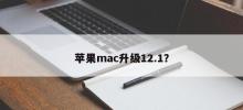 苹果mac升级12.1？