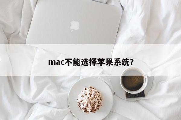 Can't choose Apple system for mac?