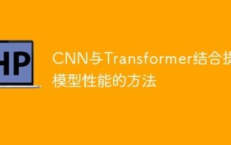 So verwenden Sie CNN- und Transformer-Hybridmodelle, um die Leistung zu verbessern