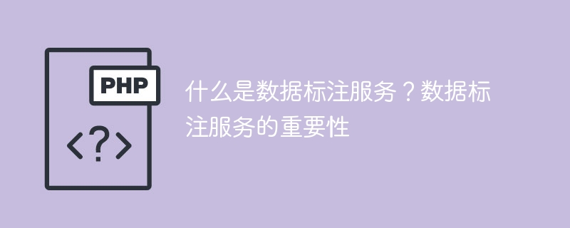 什么是数据标注服务？数据标注服务的重要性