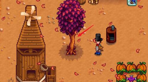 So sammeln Sie Ahornsirup im Stardew Valley