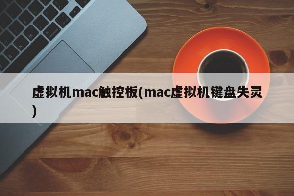 Trackpad issue in Mac virtual machine