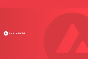Avalanche正式公布Meme币官方收藏准则，并透露开始进行购买行动