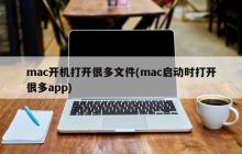 Mac启动时开启众多应用程序