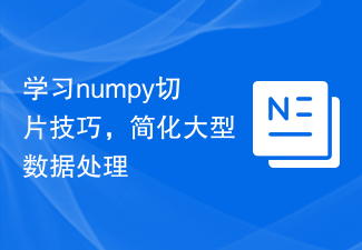 學習numpy切片技巧，簡化大型資料處理