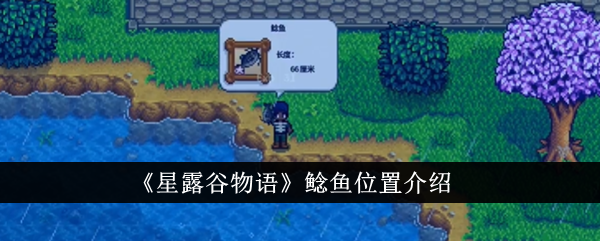 Présentation de l'emplacement du poisson-chat 'Stardew Valley'