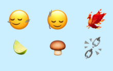 苹果推出全新iOS 17.4Beta1：加入118个全新Emoji，包括凤凰和青柠！