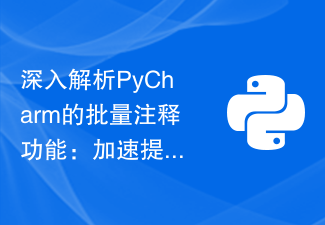 PyCharmのバッチコメント機能を徹底分析：コード読み取りの高速化と効率化