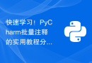 快速学习！PyCharm批量注释的实用教程分享