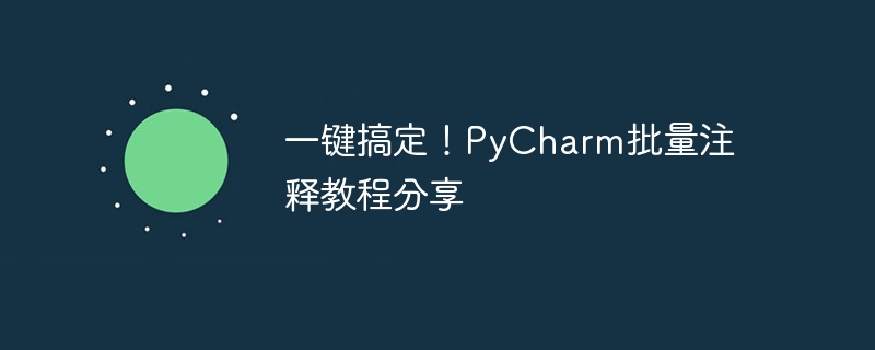 빠른 학습! PyCharm 배치 주석에 대한 실용적인 튜토리얼 공유