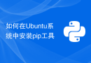 如何在Ubuntu系统中安装pip工具
