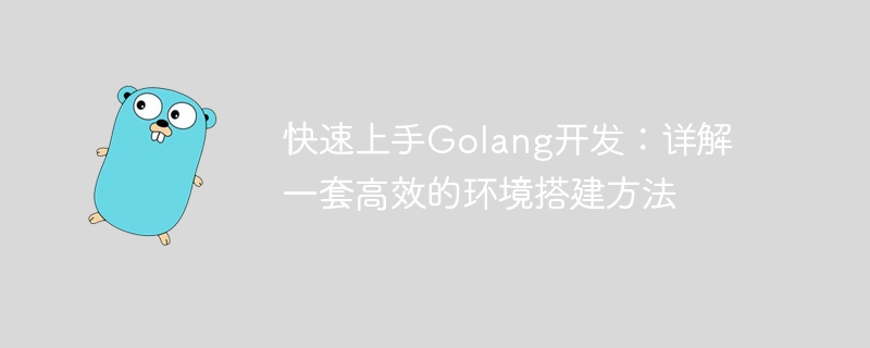 快速上手Golang开发：详解一套高效的环境搭建方法