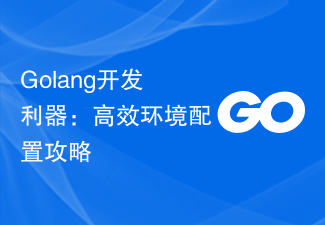 Outil de développement Golang : stratégie de configuration d'environnement efficace