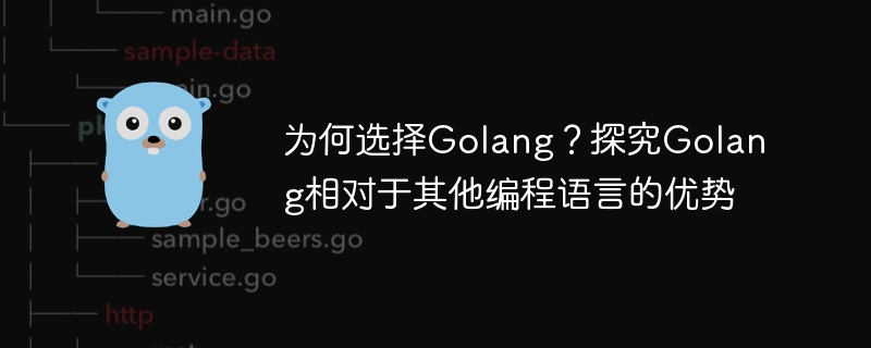 Golang的优势对比其他编程语言：为何选择Golang？