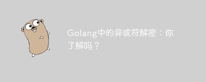 Golang의 XOR 복호화: 익숙하신가요?