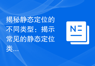 揭秘静态定位的不同类型：揭示常见的静态定位类型详解