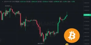 比特币市场份额接近50%，巩固主导地位！价格重回42000美元