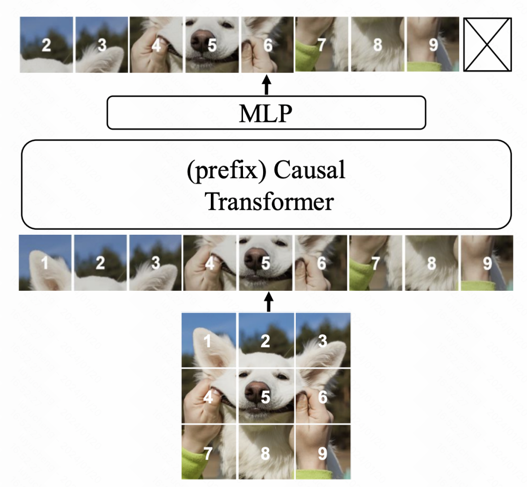 Apple uses autoregressive language models to pre-train image models