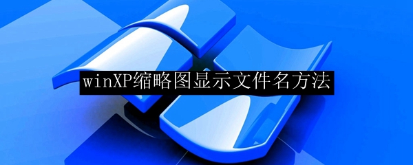 如何在Windows XP中显示文件名的缩略图