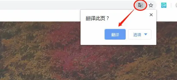 How to enable translation in Google Chrome