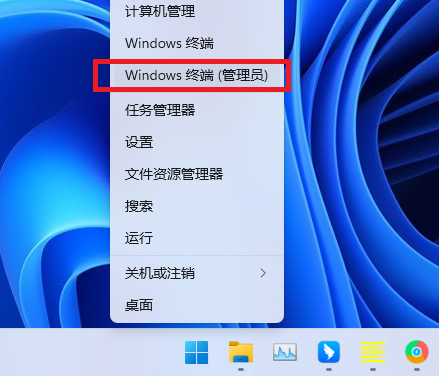 如何解决Win11系统文件夹闪退的问题