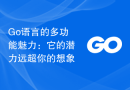 Go语言的多功能魅力：它的潜力远超你的想象