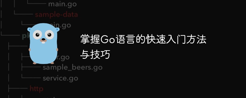 學習Go語言的有效入門策略與技巧