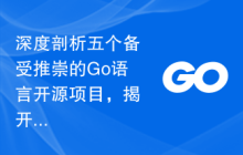 深度剖析五个备受推崇的Go语言开源项目，揭开它们的神秘面纱