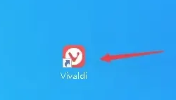 Vivaldi浏览器如何防止网站追踪