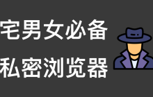 私密浏览器怎么更换搜索引擎