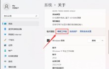 win11怎么加入局域网工作组？win11加入局域网工作组的方法