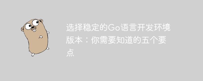 Go言語開発環境バージョン選択ガイド：この5つのポイントをマスターしよう